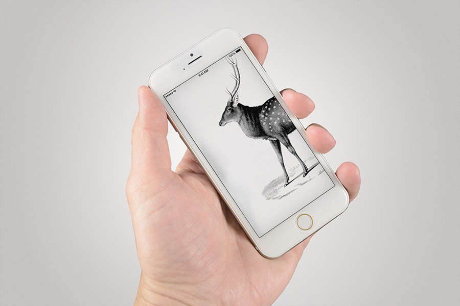 <span>iPhone6 Mockup</span><i>→</i>