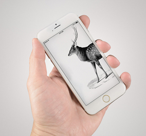 <span>iPhone6 Mockup</span><i>→</i>